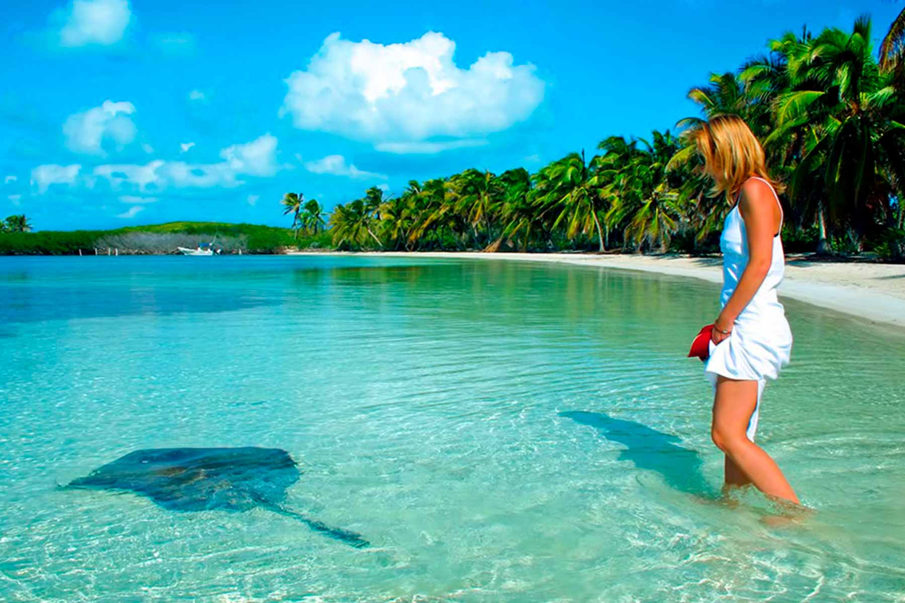 Mantarraya en la playa de isla contoy