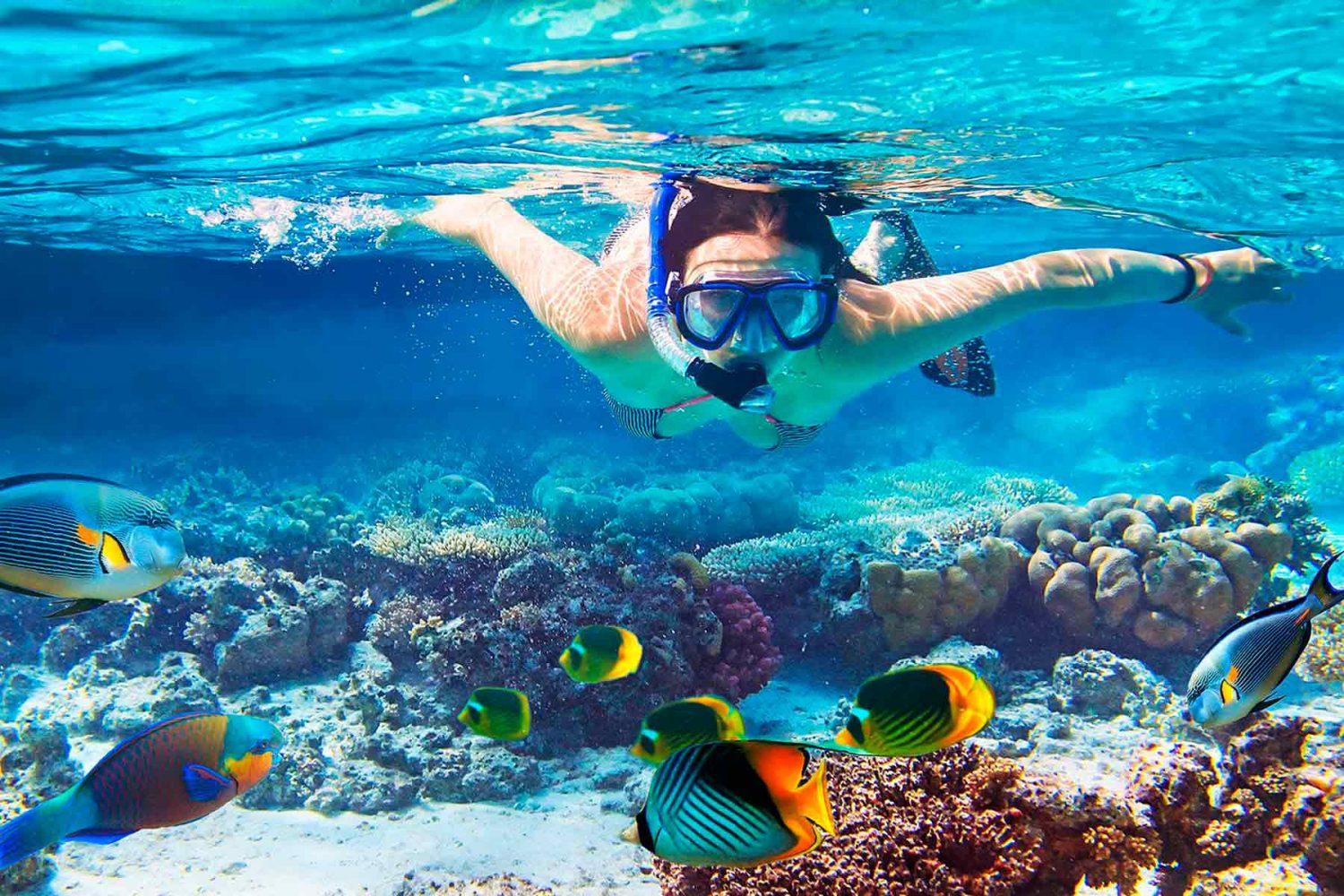 Snorkel bajo el mar