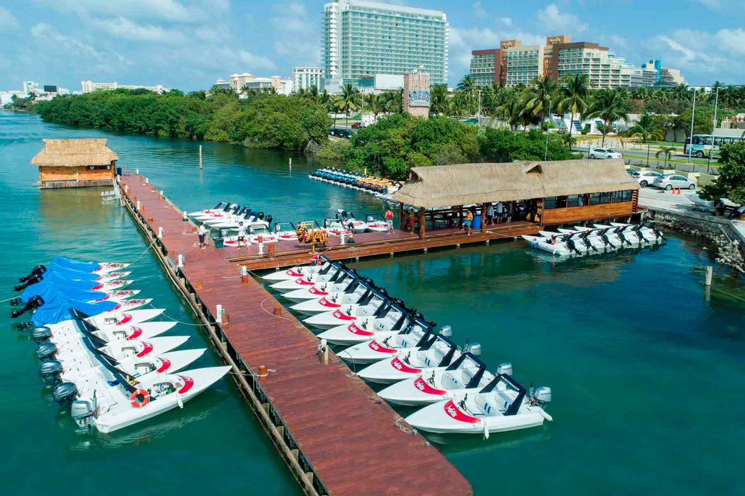 Marina Jungle Tour