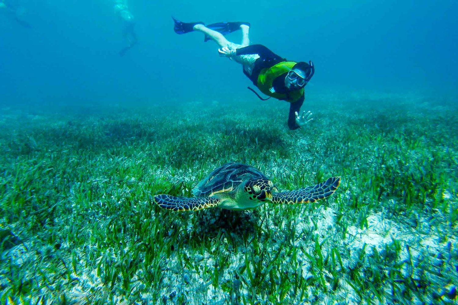 Buceo libre en Isla Mujeres