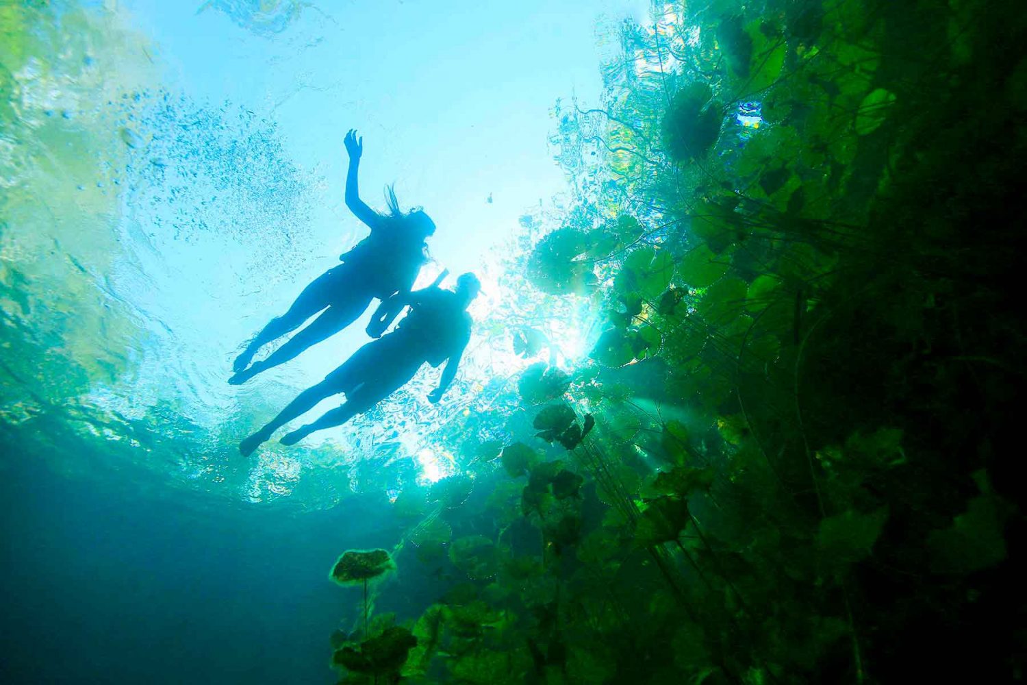 vista submarina de pareja con snorkel