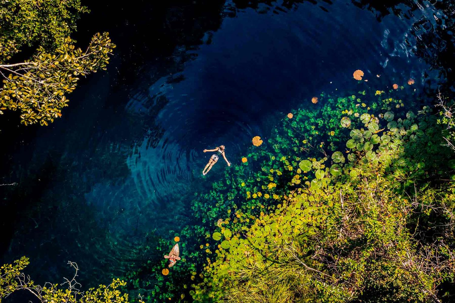 vista aerea de cenote abierto