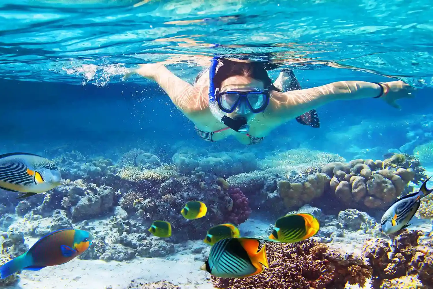 Snorkeling en Puerto Morelos, México.