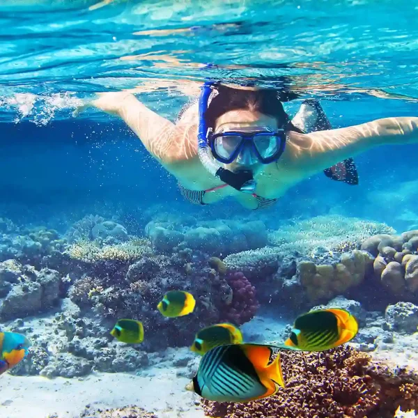 Snorkeling en Puerto Morelos, México.