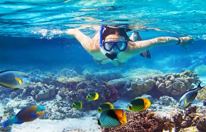 Snorkeling en Puerto Morelos, México.