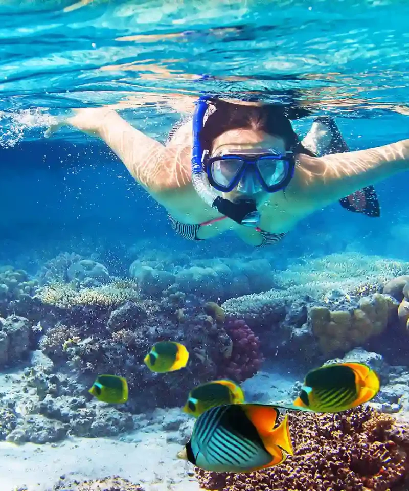 Snorkeling en Puerto Morelos, México.