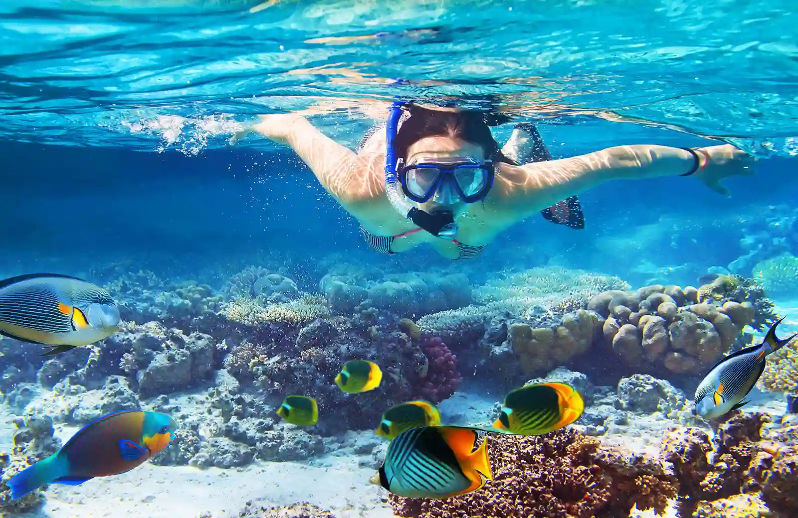 Snorkeling en Puerto Morelos, México.